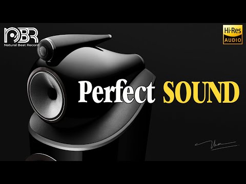 High-Fidelity Sound: The Power of Hi-Res Audio in Audiophile Setups