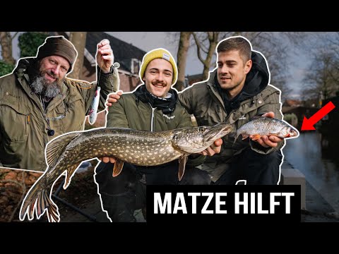 Deadbait-Duell: Im Winter mit KÖDERFISCH auf Hecht.