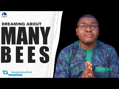 Dreaming About Many Bees II Biblical And Spiritual Meaning