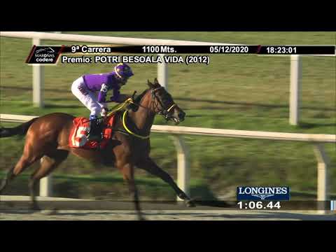 201205 c09 MY PRINCESS (BRZ)