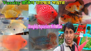 শ্রীরামপুর হাটে রঙিন রঙিন মাছ | Aquarium Fish Shrirampur a | Serampore Fish Haat | Pet Market 