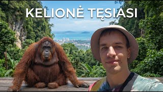 KELIONĖ PO MALAIZIJĄ: PENANGAS - ORANGUTANGAI IR MAISTO SOSTINĖ | #2