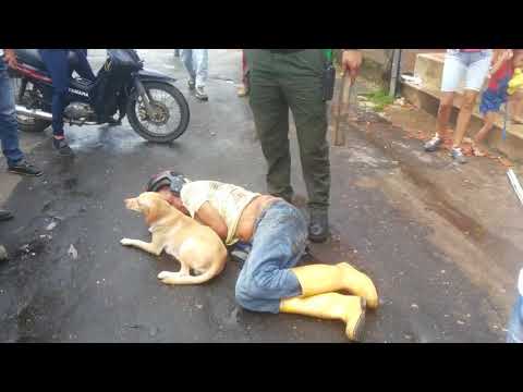 EL PERRO MAS FIEL ¨amigo fiel¨