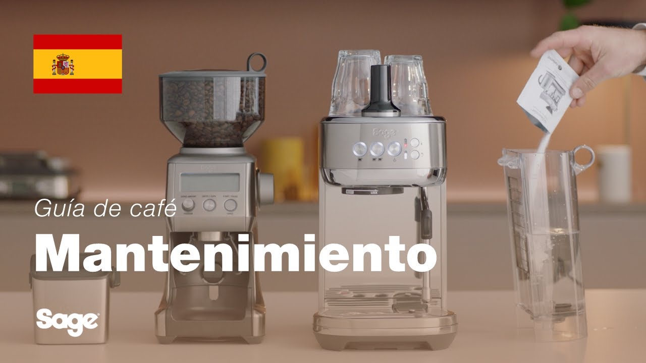 Cómo realizar una descalcificación
