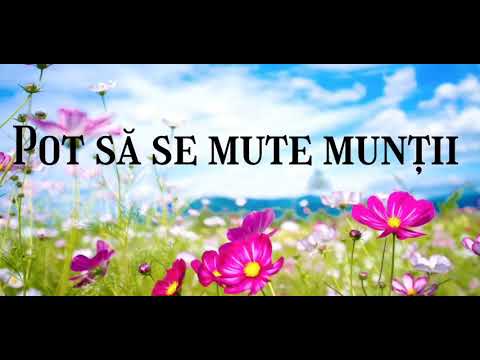 Camelia Horbaniuc - Pot să se mute munții