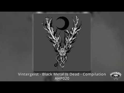 Vintergeist - Là Où Même Les Dieux Ont Froid