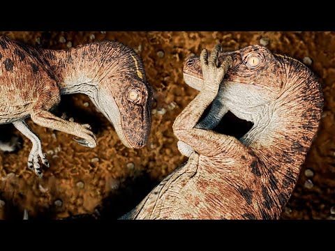 The Isle EVRIMA | Utahraptor Pack! I Captured a Tenontosaurus Baby! Fighting and MUD | PT/BR