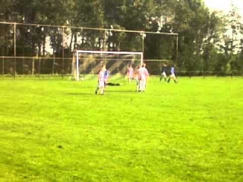 festilent D3-udi 19 D7 4-4