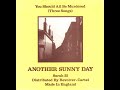 ANOTHER SUNNY DAY - You Should All Be Murdered
