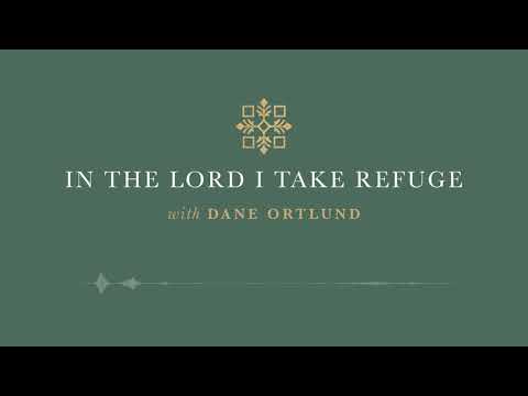 In the Lord I Take Refuge: Psalm 13 - How Long, O Lord?