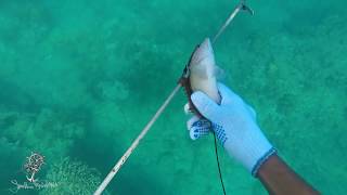 preview picture of video 'Spearfishing In The Bahamas|Jønâthån Båtîstä'