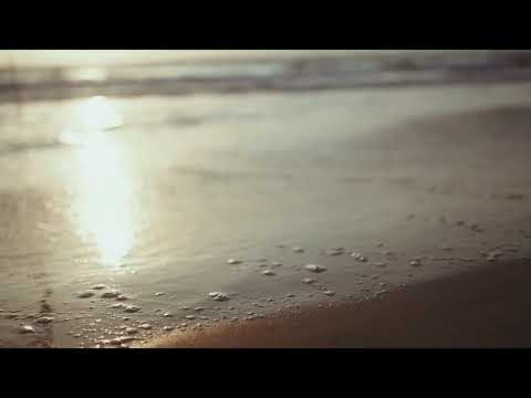 Edward maya , Akcent , Bb king..... (free copyright)