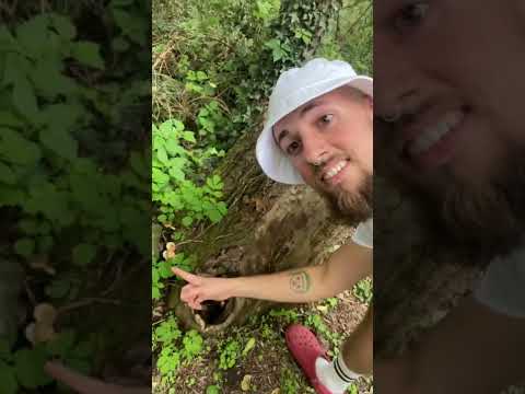 Eos y Titono - Mitología Griega