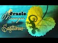Sagittarius- You're A True Spiritual Warrior & Everything Is Going As Planned For Ultimate Comfort