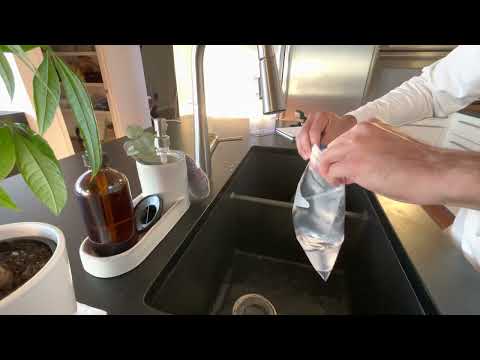 Honest Review of Ziploc Grip n Seal Testing Strength