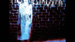 Pig Destroyer - Depression (Black Flag Cover)