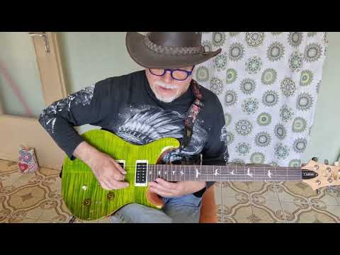 New guitar prs se custom 24 08,  first impressions