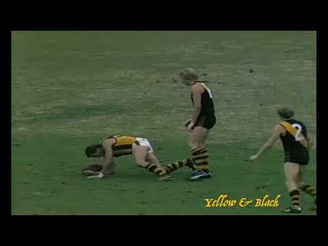 VFL 1981 Game Highlights