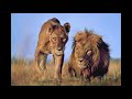 Sean Deason - razorback [Saxy]