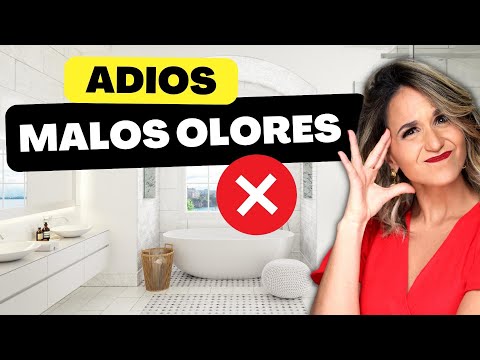 HOW TO MAKE YOUR HOUSE ALWAYS SMELL GREAT! ✅ Best Tricks to Smell Amazing! Elegant Decor