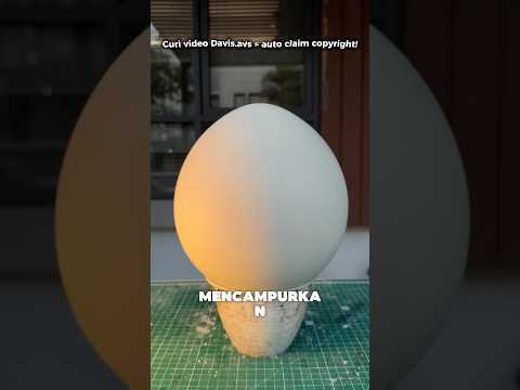 Telur dino di rumah