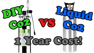 DIY Co2 Generator vs Pressurized Liquid Co2 | Which is CHEAPER?
