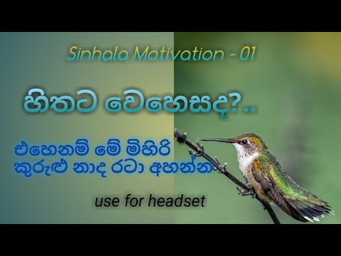 🐦මිහිරි කුරුලු නාද රටා🐦sinhala motivation,natural bird sound, for stress, #success, nil diyawara