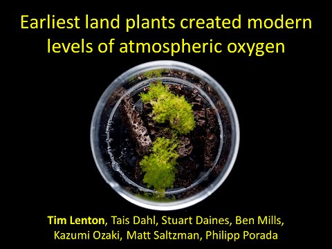 YouTube video about: Which best describes the earliest land plants?