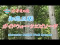 channel