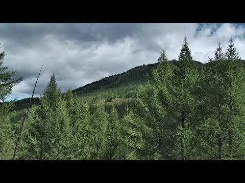 Смотреть видео Смотреть видео