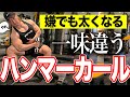 【嫌でも腕が太くなる】コンセントレーションハンマーカールを教えます。