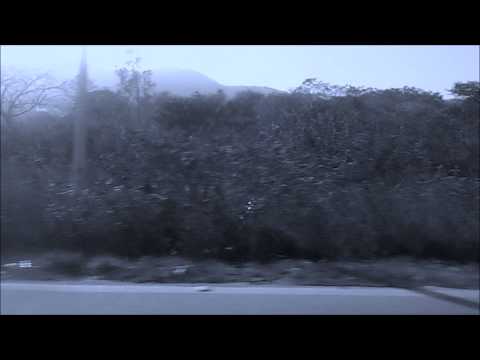 Zedd vs Pendulum vs Showtek  - "Stay The Tarantula Booyah" (Cover Video)