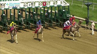 The 2025 Delaware Park Safari Sprint Camel Race