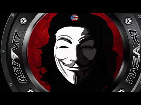 Java vs Pit Stingray Ultras