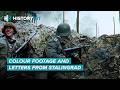 Nazis Frozen Alive: Brutal Uncensored Accounts From Stalingrad DEFAULT Thumbnail