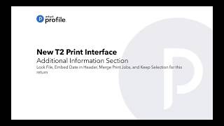 T2 Print Interface - What are the Four Options in Additional Information