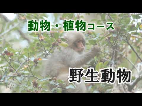 2022年度 理工学部 生物科学科紹介ショートムービー