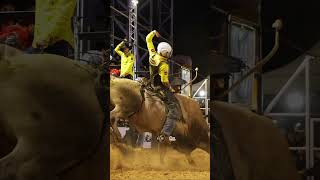 MAIOR NOTA DOMINGO - 3ª FEAP/ PARANAPANEMA/SP (TOP 20RR)