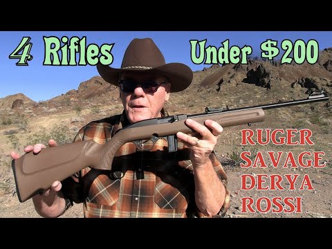 4 Excellent .22 Rimfire Rifles For $200 or Less!  A Ruger 10/22 That Shoots 3/4" Groups at 50 Yards!