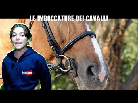 Gelatina per giunti di dolore Deposizione di sali nei bracci dellarticolazione