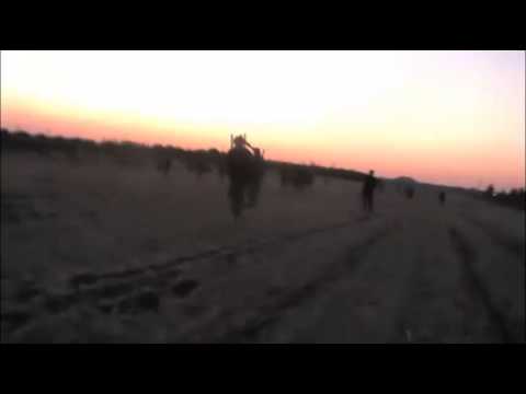 تقدم مقاتلي لواء الغر الميامين لاقتحام حاجز أبو شفيق في ريف حماة الشمالي