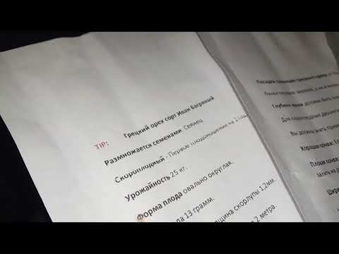 Доброе слово начинающим ореховодам!