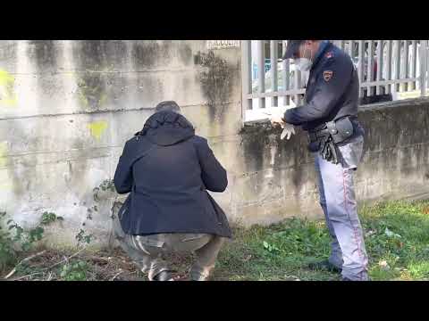Studente colpisce bidello con un coltello