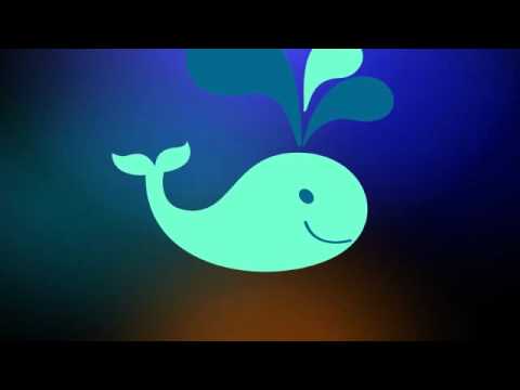 pourquoi la baleine n'est pas un poisson
