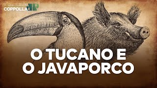O Tucano e o JavaPorco