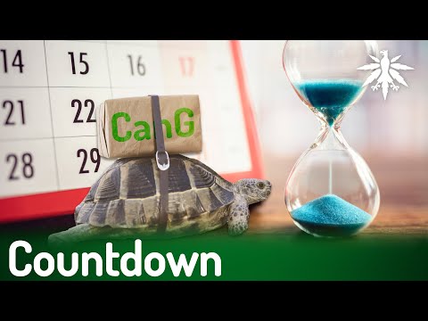 Video Thumbnail: Countdown | DHV-News # 401
