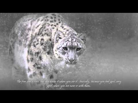 RVDICAL THE KID - Free Spirit