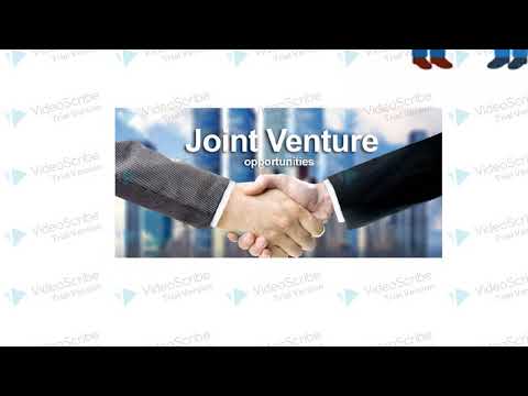 les options stratégiques: diversification, internationalisation et intégration