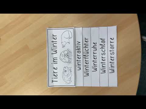 Zebraklasse 1a: Erklärvideo Klappbuch Tiere im Winter