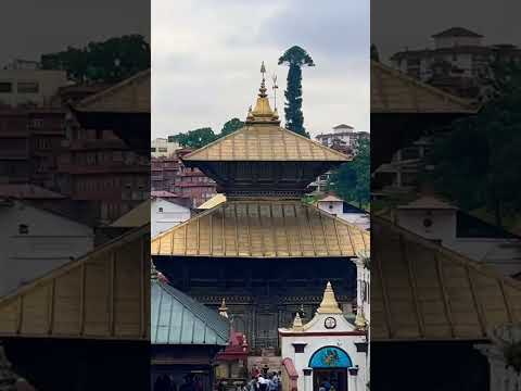 Pashupatinath Temple, Kathmandu Nepal #youtubeshorts #pasupatinath #shivatandavstotram